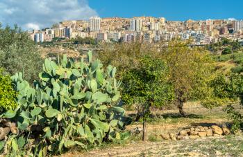 View of Agrigento city from the Kolymbetra Garden at the Valley of the Temples in Sicily - Italy
