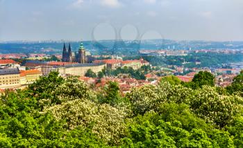 View of Prazsky hrad castle - Czech republic