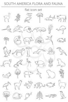 Flat South America flora and fauna  elements. Animals, birds and sea life simple line icon set. Vector illustration