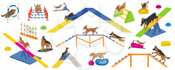 Dog playground equipment set. Colour flat playing dogs design. Vector illustration
