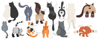 Cats poses behind. Cat`s butts. Flat design clipart. Vector illustration