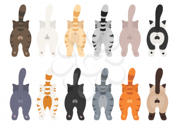 Cats poses behind. Cat`s butts. Flat design clipart. Vector illustration