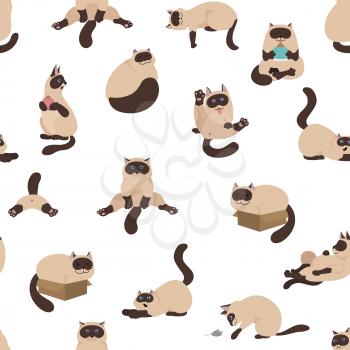 Cartoon cat characters seamless pattern. Different cat`s poses, yoga and emotions set. Flat color simple style design. Siamese colorpoint cats. Vector illustration