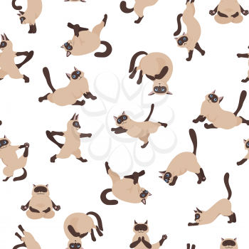 Cats yoga seamless pattern. Siamese cats. Different yoga poses and exercises. Vector illustration