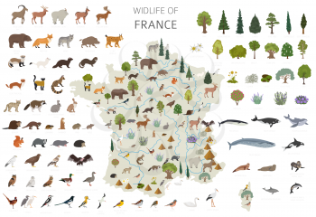 Flat design of France wildlife. Animals, birds and plants constructor elements isolated on white set. Build your own geography infographics collection. Vector illustration