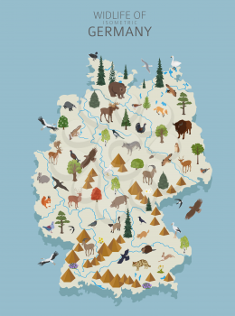 Isometric 3d design of Germany wildlife. Animals, birds and plants constructor elements isolated on white set. Build your own geography infographics collection. Vector illustration