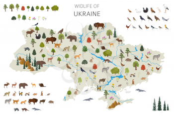 Flat design of Ukraina wildlife. Animals, birds and plants constructor elements isolated on white set. Build your own geography infographics collection. Vector illustration