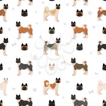 American akita all colours seamless pattern. Different coat colors set. Vector illustration