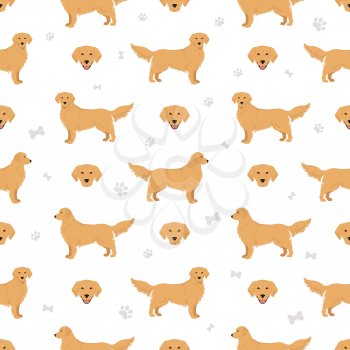 Golden retriever dogs in different poses and coat colors seamless pattern. Vector illustration
