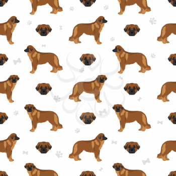 Estrela mountain dog seamless pattern. Different poses, coat colors set.  Vector illustration