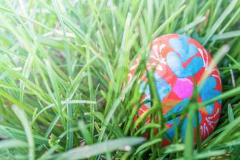 Easter egg in the grass close-up on a sunny day