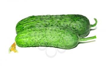 Two fresh cucumber on white background