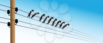 Illustration of several birds sitting on electric wires