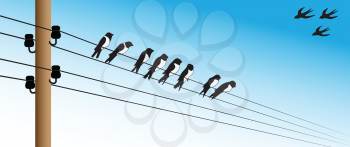Illustration of several birds sitting on electric wires