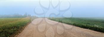 Old gravel rural road in the fog. Rural landscape. Panoramic shot. Toned image.