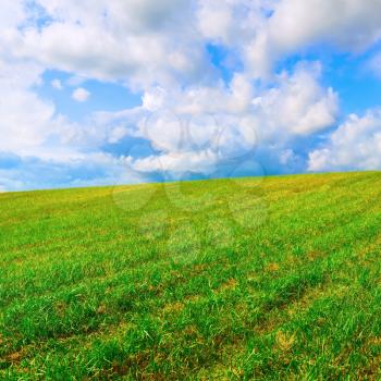 Landscape with field of green grass and blue sky with clouds. Bright summer sunny day.