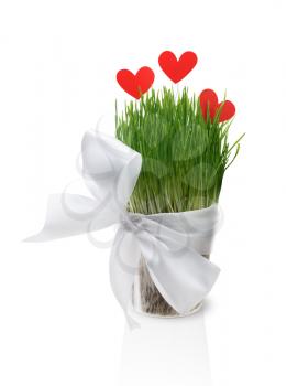 Pot with green lush grass, tied with satin ribbon with bow, decorated with red paper hearts. Isolated on a white background.