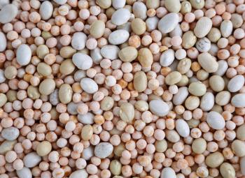 Peas and haricot. Mixed dried beans top view. Abstract background texture.