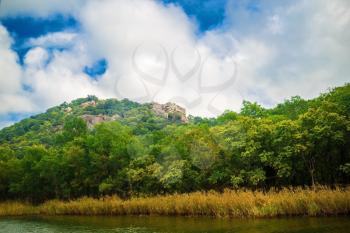 Green vegetation and mountains covered with forests on the banks of the Ropotamo river in Bulgaria. Summer landscape.