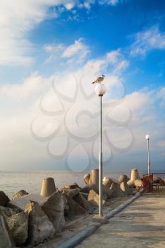 Pierce with lampposts. Breakwater with huge boulders on the coast of the Black Sea. Seagull on a post. Calm summer day. Vertical shot.