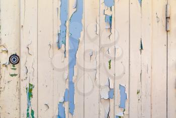 Old wooden door with peeling paint texture. Vintage rustic weathered dyed wooden planks background.