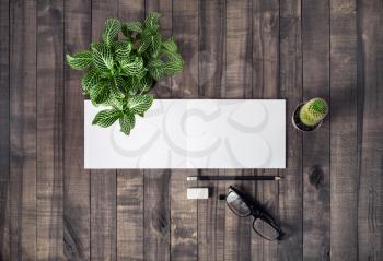 Stationery, blank brochure and plants on wooden background. Responsive design template. Flat lay.