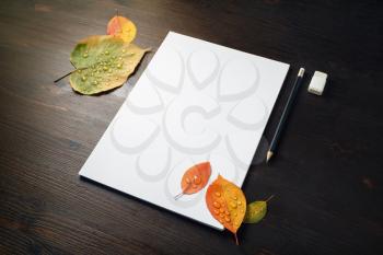 Blank letterhead, pencil, eraser and bright autumn leaves on wood table background. Template for branding identity.
