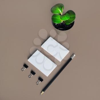 Blank stationery and plant. Branding mock up. Template for branding design.