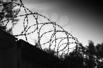 Diagonal prison barbed wire bokeh background