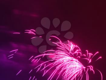 Dramatic pink fireworks at night sky background