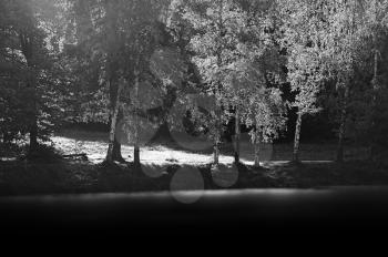 Black and white river bank landscape background
