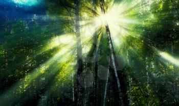 Vintage sun rays in forest landscape background hd