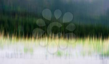 Vertical motion blur grass background hd