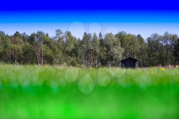 Vivid Norway cabin on dramatic meadow landscape hd