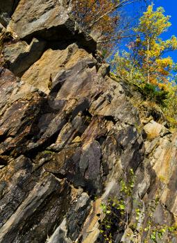 Vertical vivid Norway rock mountain texture composition with tree background backdrop