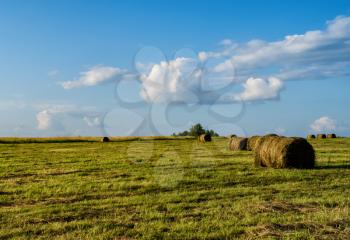 Horizontal vivid hay stack on the field