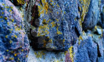 Horizontal vibrant acid moss stones rock texture bokeh background