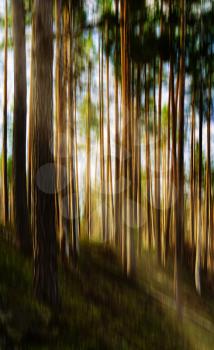 Vertical vivid motion tree landscape with light leak abstraction background backdrop
