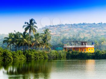 Horizontal vivid Indian house palms with river reflection background backdrop