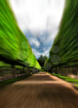 Green idyllic tree alley park motion abstract