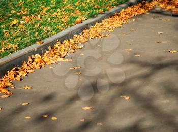 Autumn street pavement object background