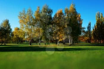 Dramatic autumn park landscape bokeh background