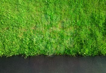 Green grass over concrete sidewalk background