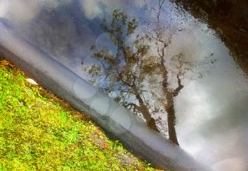 Dramatic tree reflection landscape background