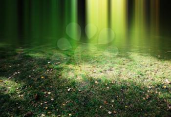 Vertical blurry light on green grass with yellow leaves landscape background