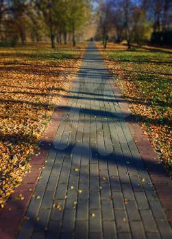 Vertical path in autumn park landscape bokeh