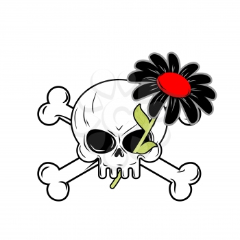 Flower of death and skull. Black Daisy flower grows their orbit of skeleton.
