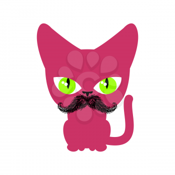 Cat hipster with mustache isolated. Pet on white background