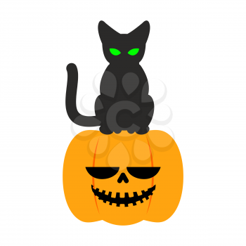 Pumpkin and black cat Halloween symbol. terrible holiday
