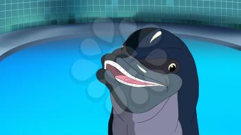 Smiling dolphin is waiting for the children in the dolphinarium. Digital painting  cartoon style full color illustration.